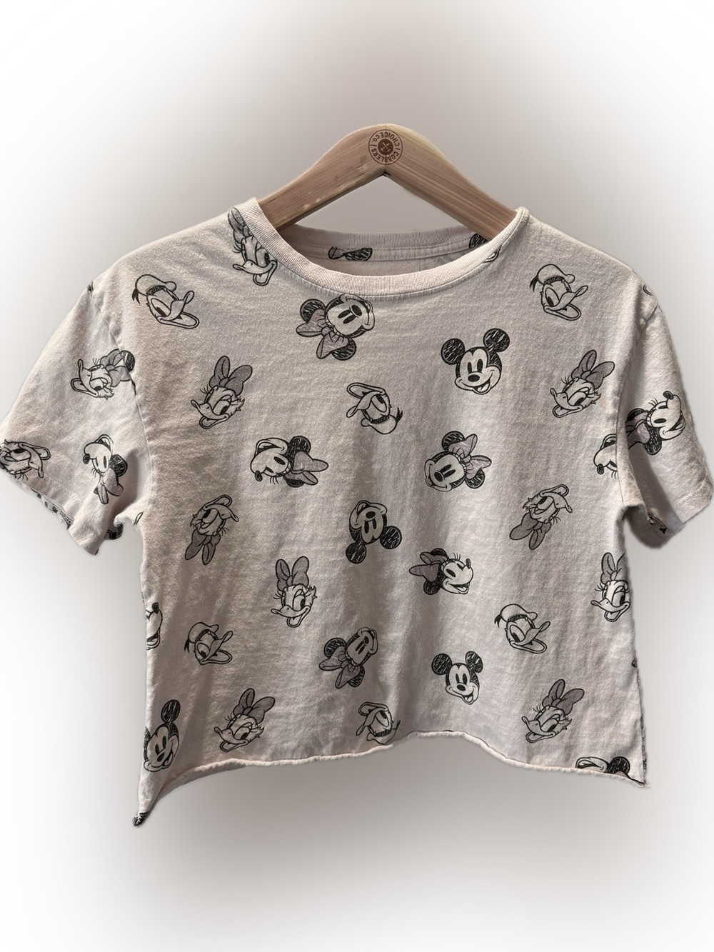Disney Mickey & Friends Crop Tee M Minnie Daisy Donald Raw Hem T-Shirt